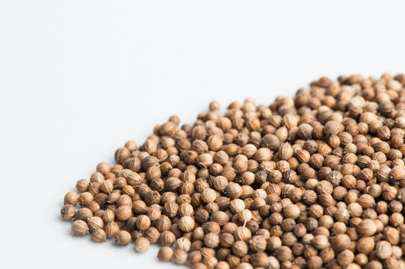 Coriander (Cilantro)