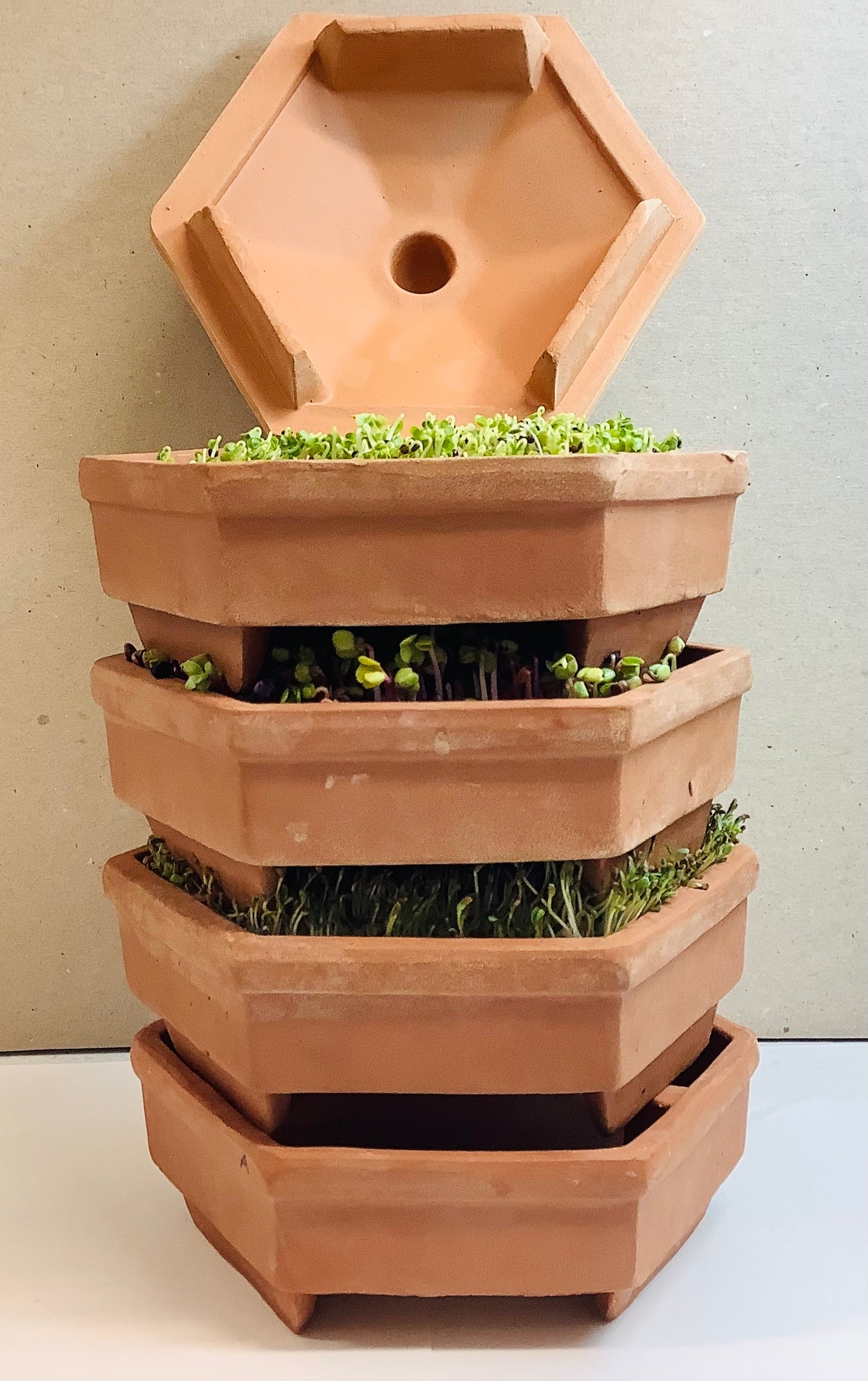 Geo Terracotta 4-Tier Sprouting Tower