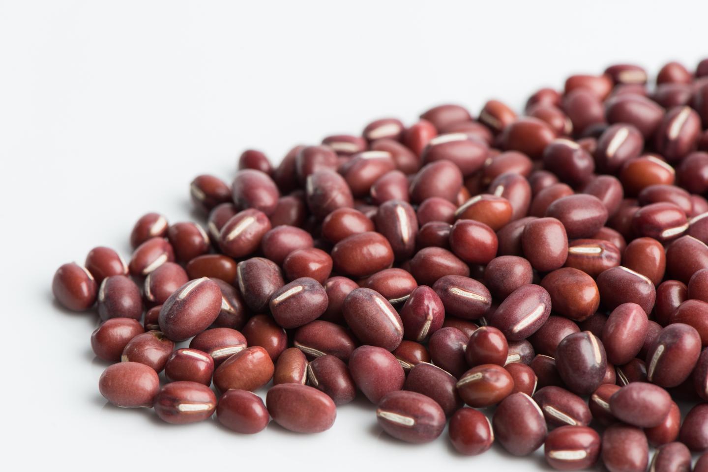 Bean, Adzuki
