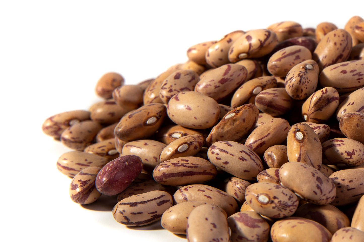 Bean, Cranberry