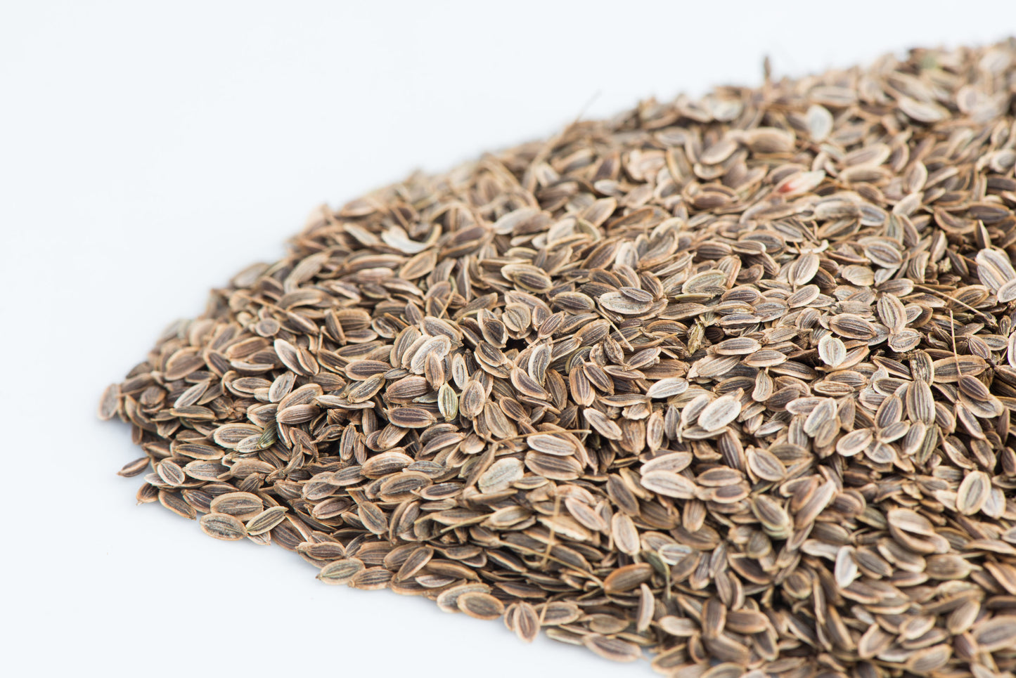 Dill