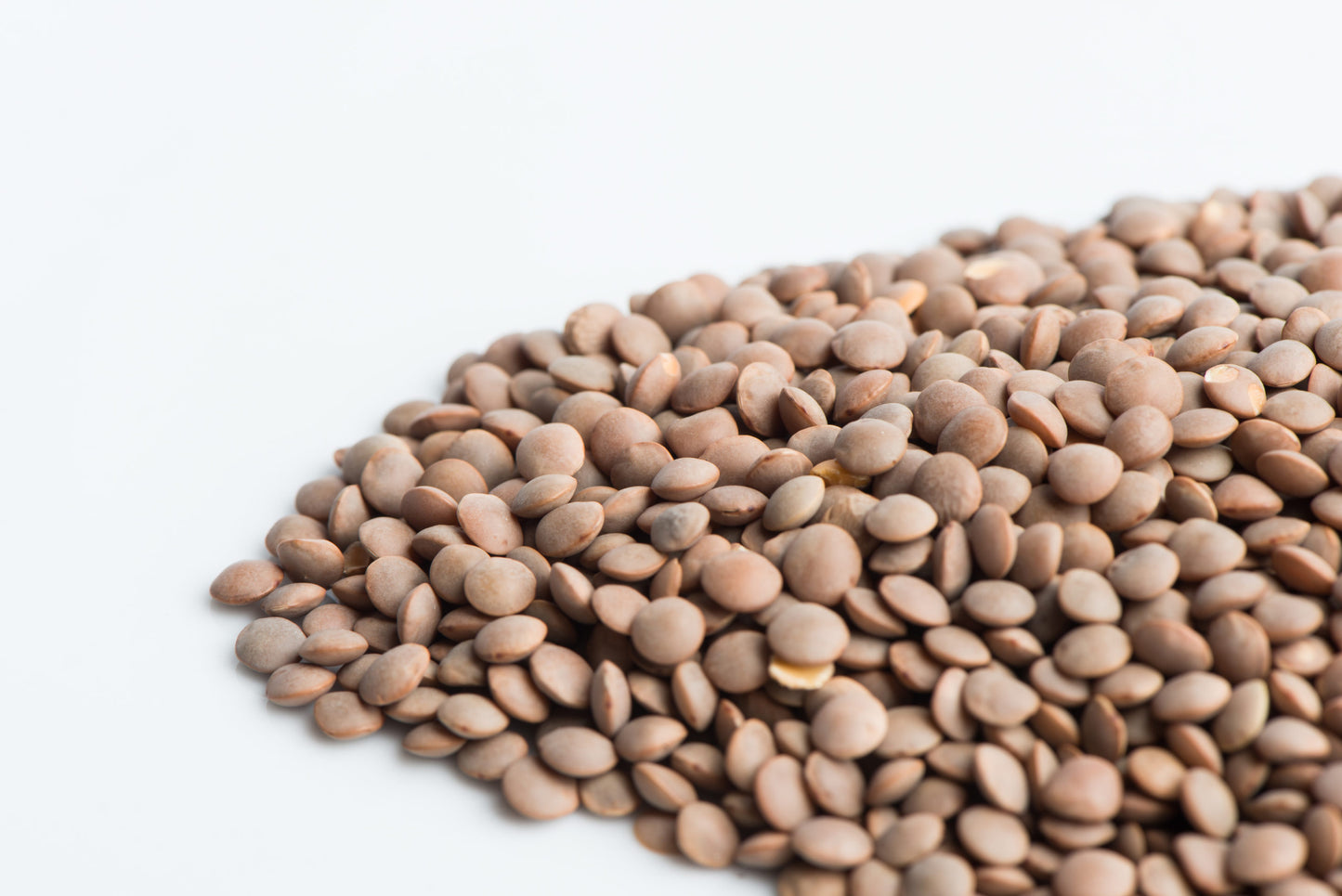 Lentils, Crimson