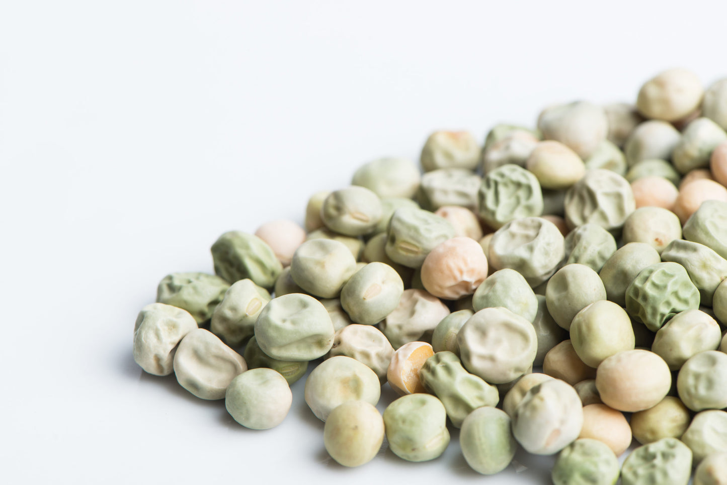 Pea, Oregon Giant