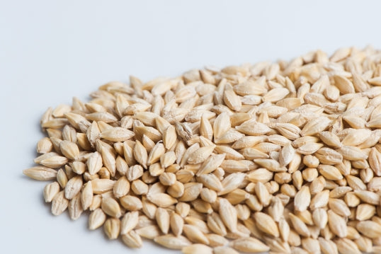 Barley, hulls on