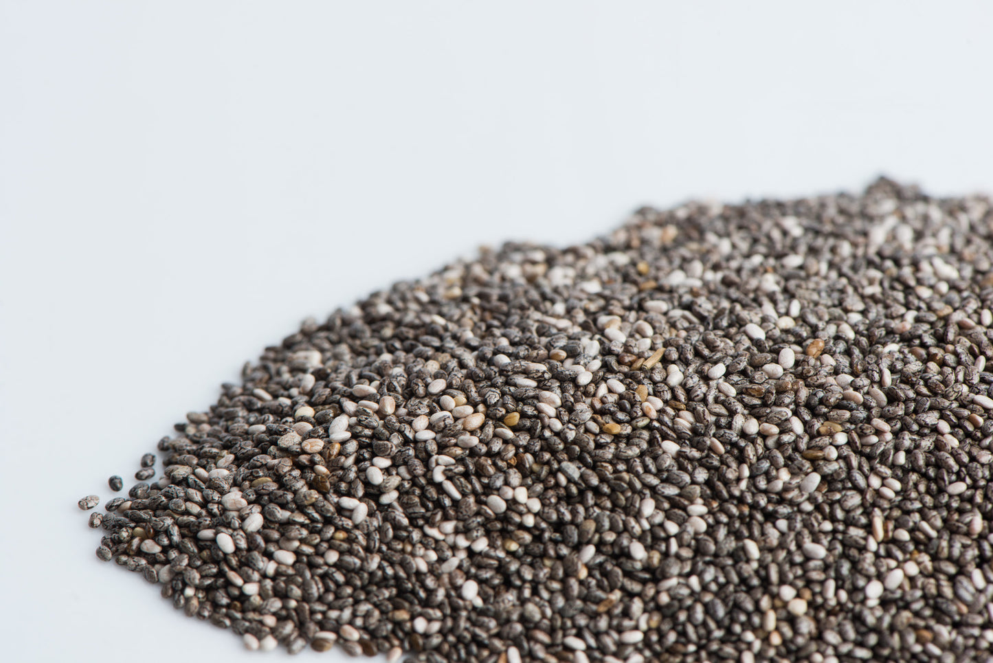 Chia, Black