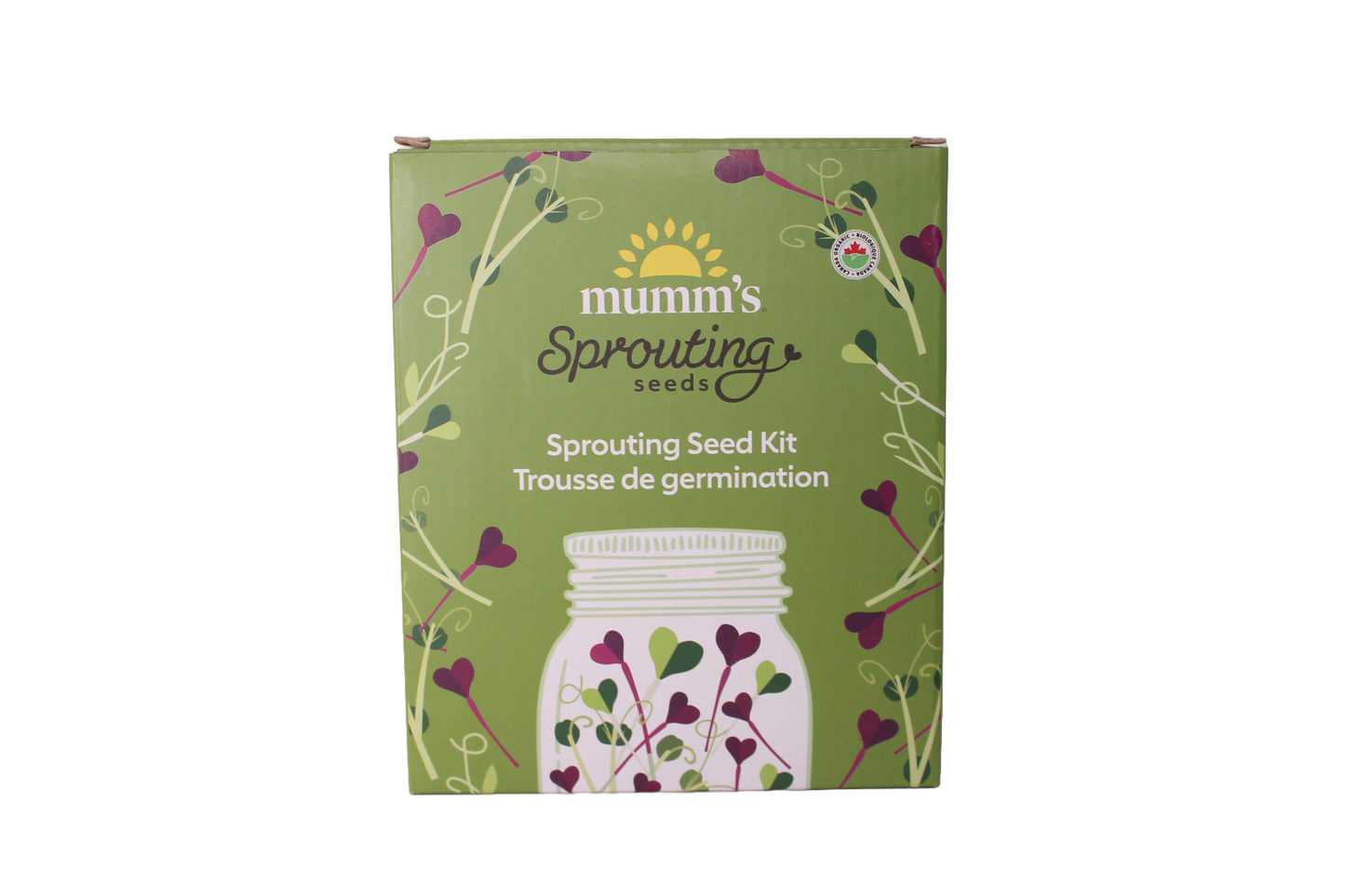 Sprouting Seed Kit (Single)