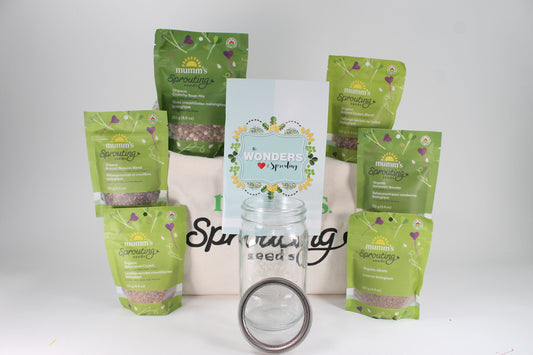 Gift Bag Large