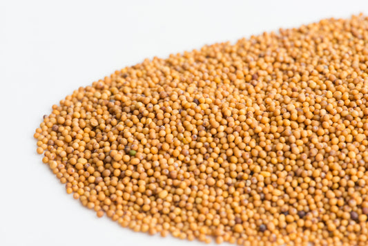 Mustard, Oriental Wasabi